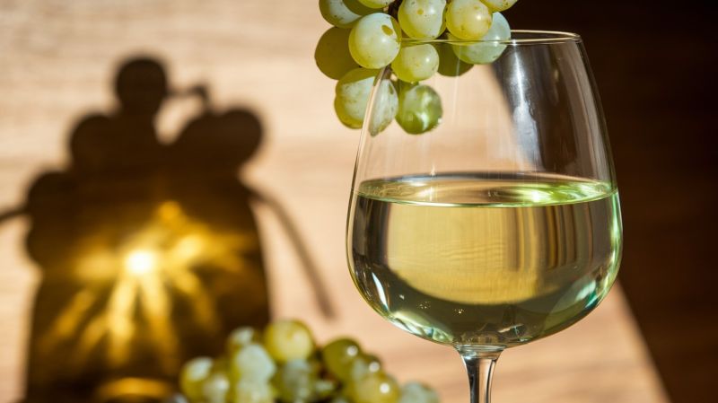 Sauvignon Blanc - osvežavajuće letnje vino